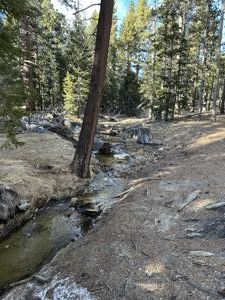 Palm Springs Aerial Tramway - hiking
